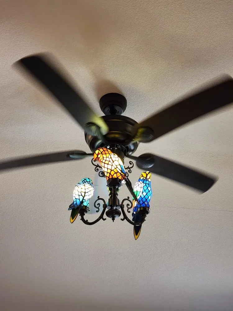 Slide of Green Top Electric