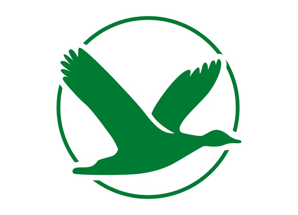 Slide of Green Top Electric