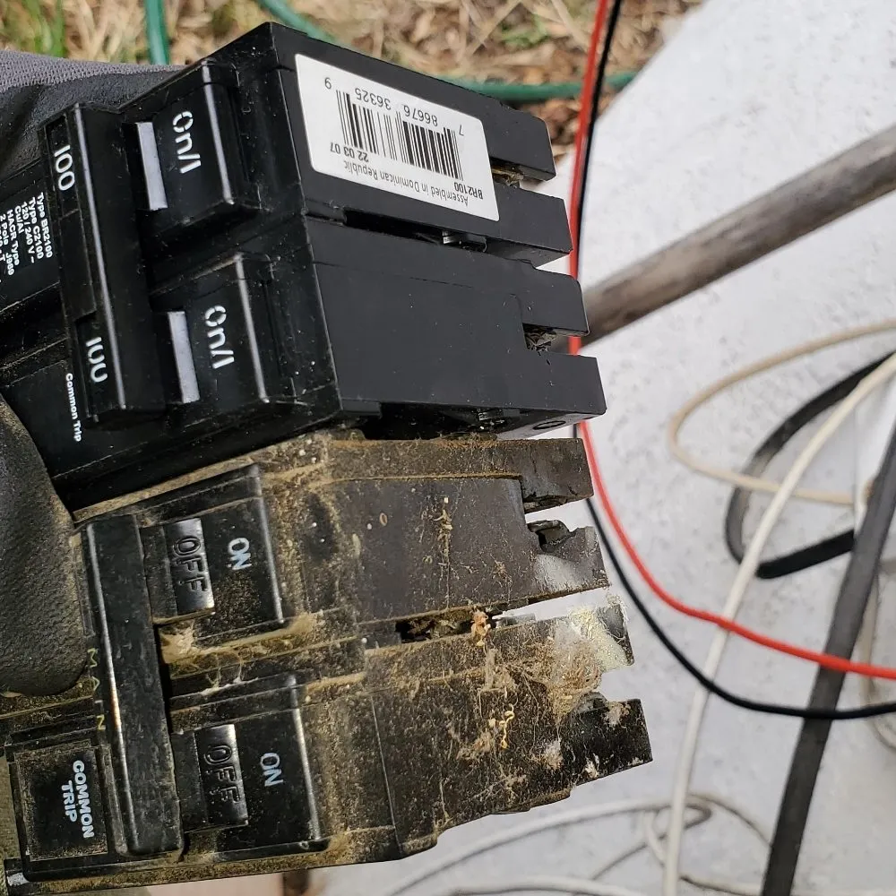 Slide of Green Top Electric