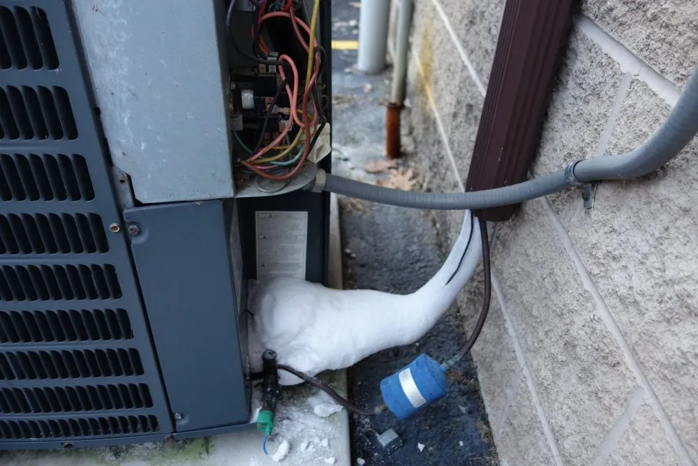 Slide of Greene's Plumbing Heating & Electrical