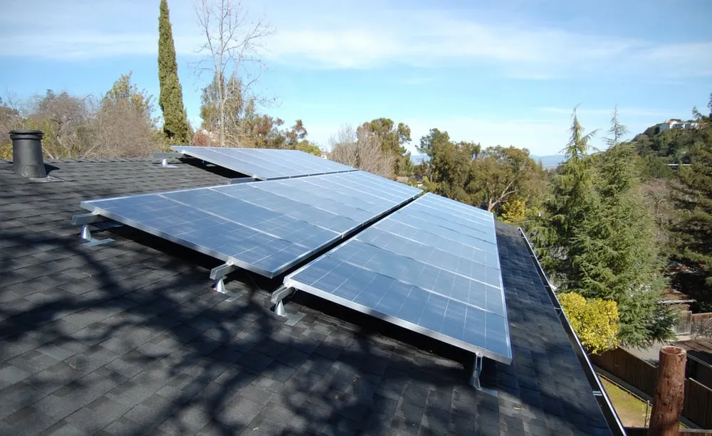 Slide of Greeniverse