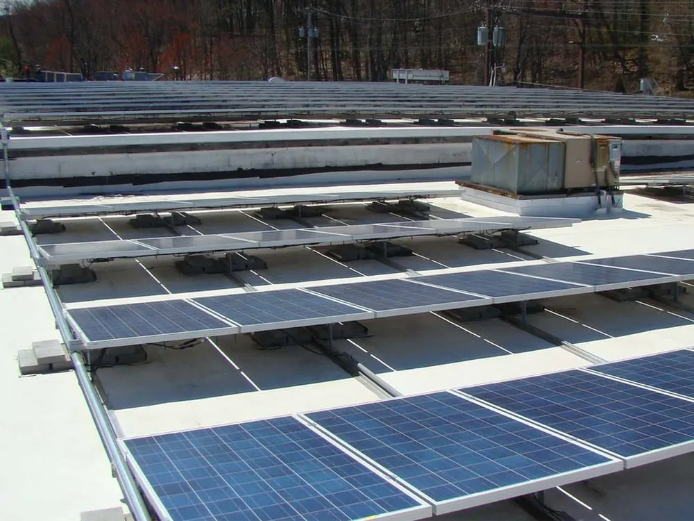 Slide of Greeniverse