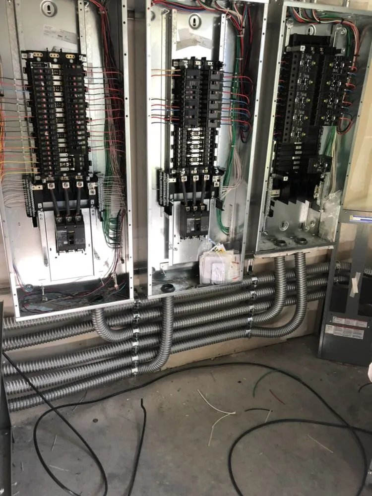 Slide of Grime’s Electric