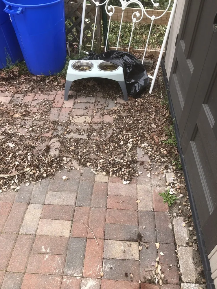 Expert outlet and switch repair in Moseley, VA by Grounds Up