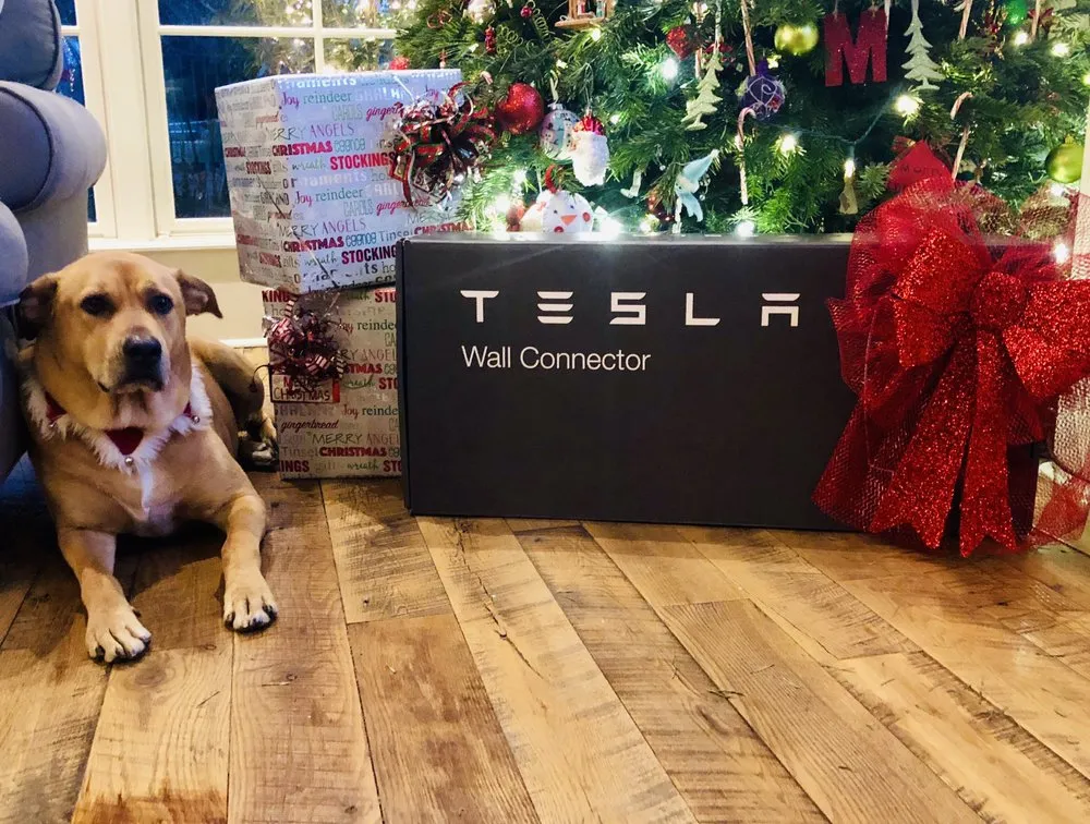 Slide of GSE Integrated