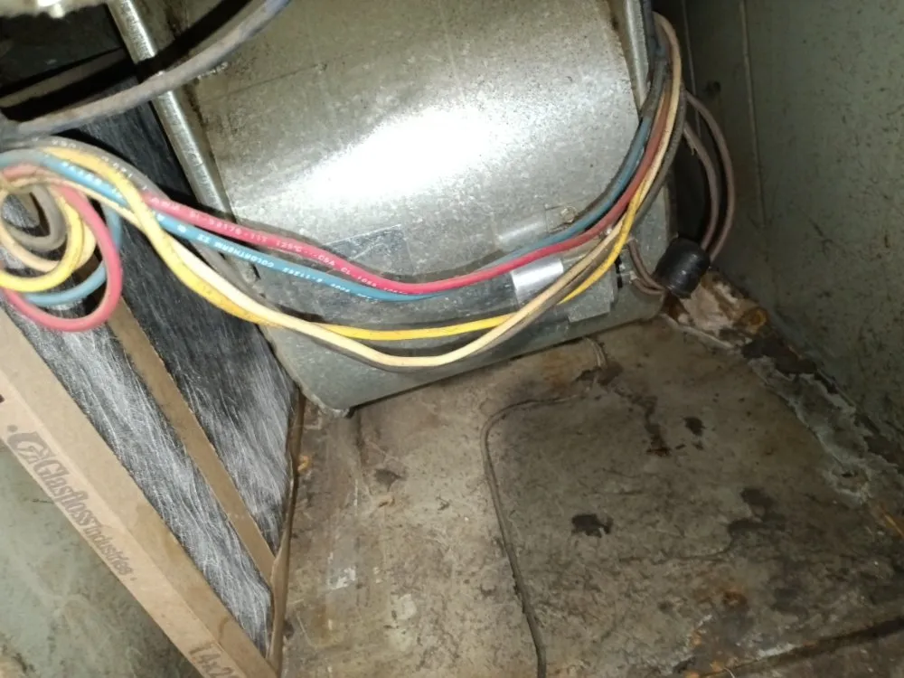 Reliable electrician providing panel upgrade in , 