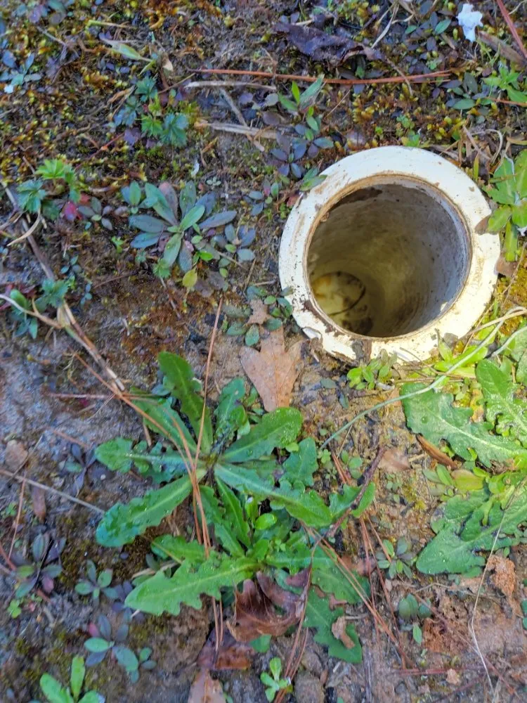 Emergency electrical service for homes in lighting installation,  by 