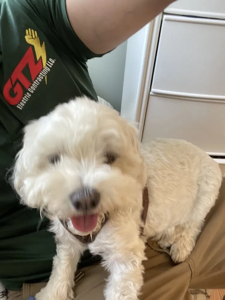 Licensed lighting installation service in ,  - GTZ Electric Contracting