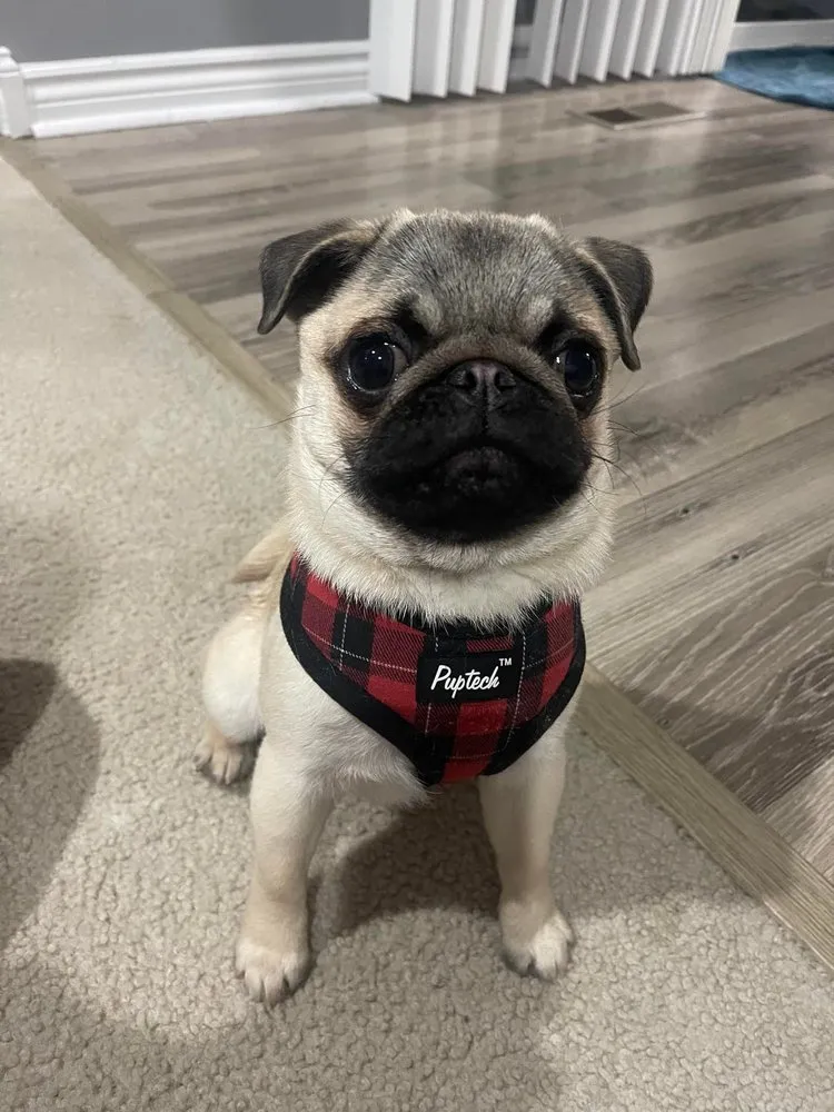 Slide of Guardian Radon Mitigation & Electrical Services