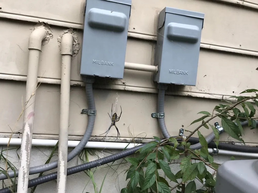 Slide of H Acosta - Electrician