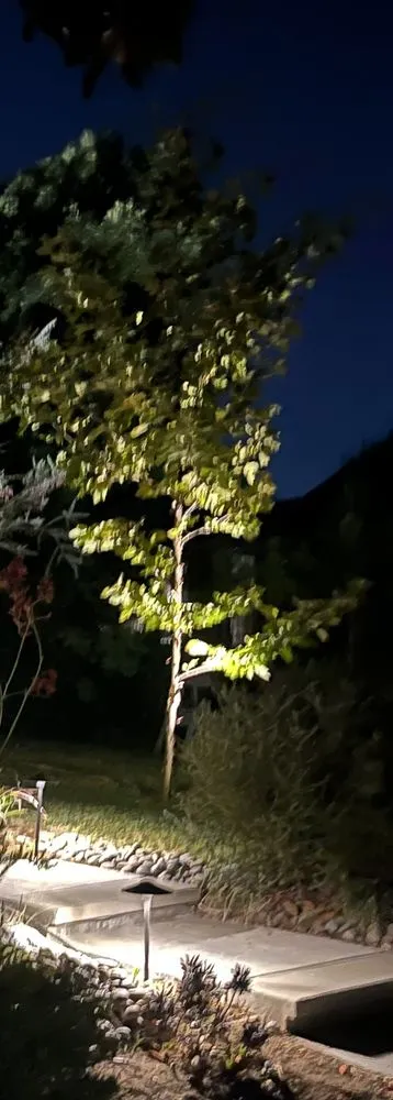 Slide of Halo Electric