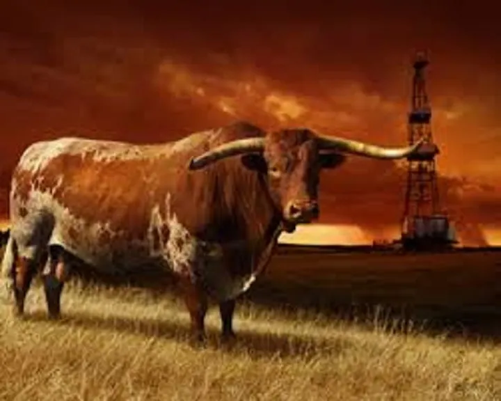 Slide of Halo Electric