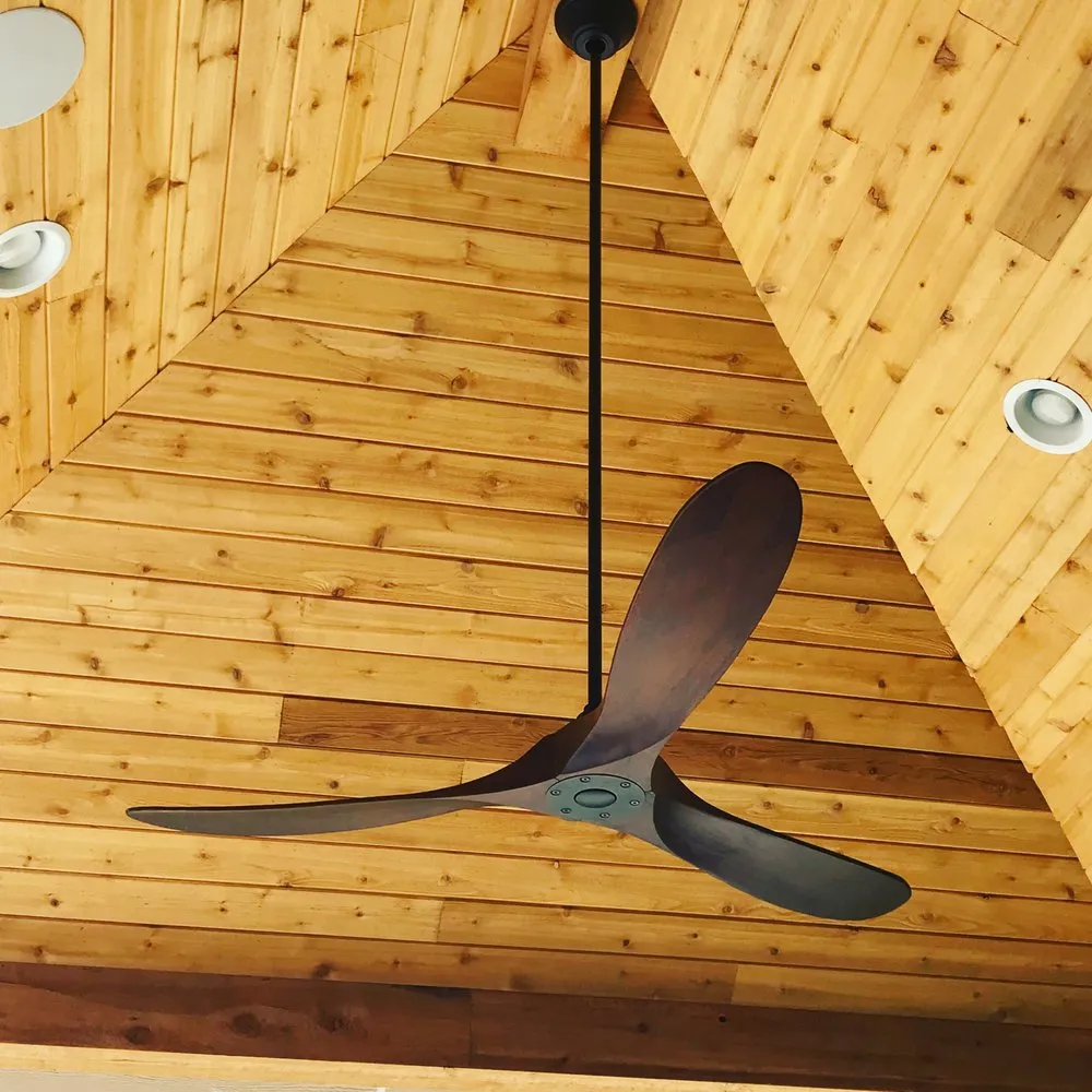 Slide of Hamid-Hoss electric