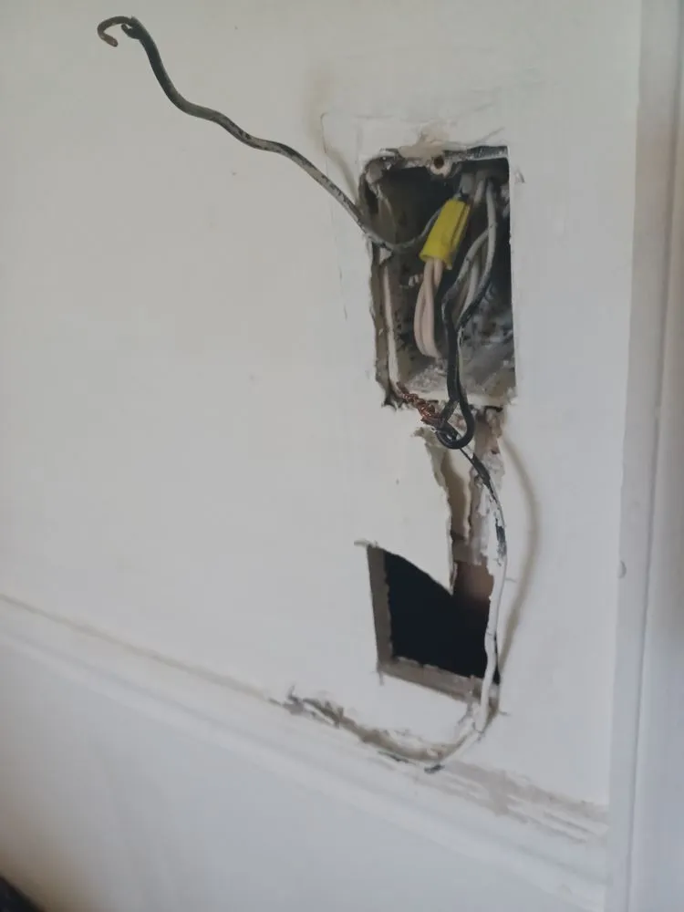 Reliable panel upgrade in Toano, VA by Hamilton Electric