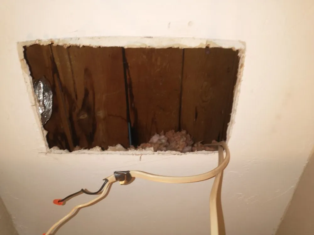 Slide of Hamilton Electric