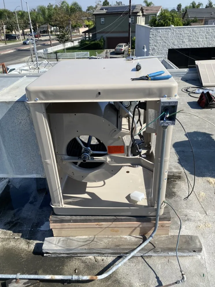 Slide of Handy Andy OC