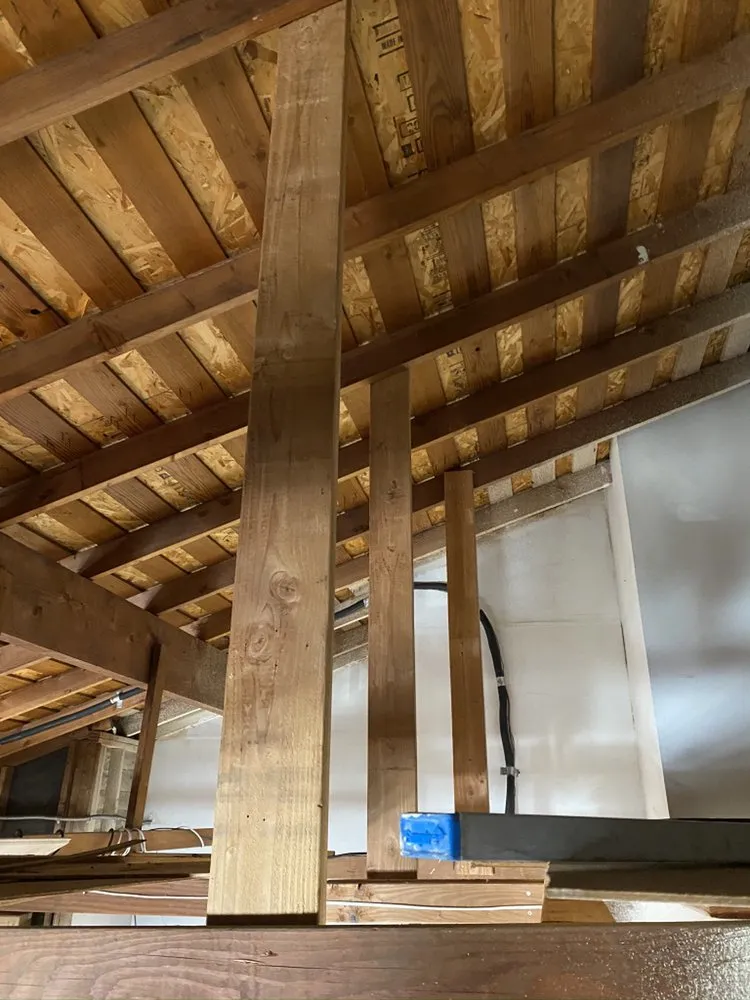 Slide of Handy Andy OC