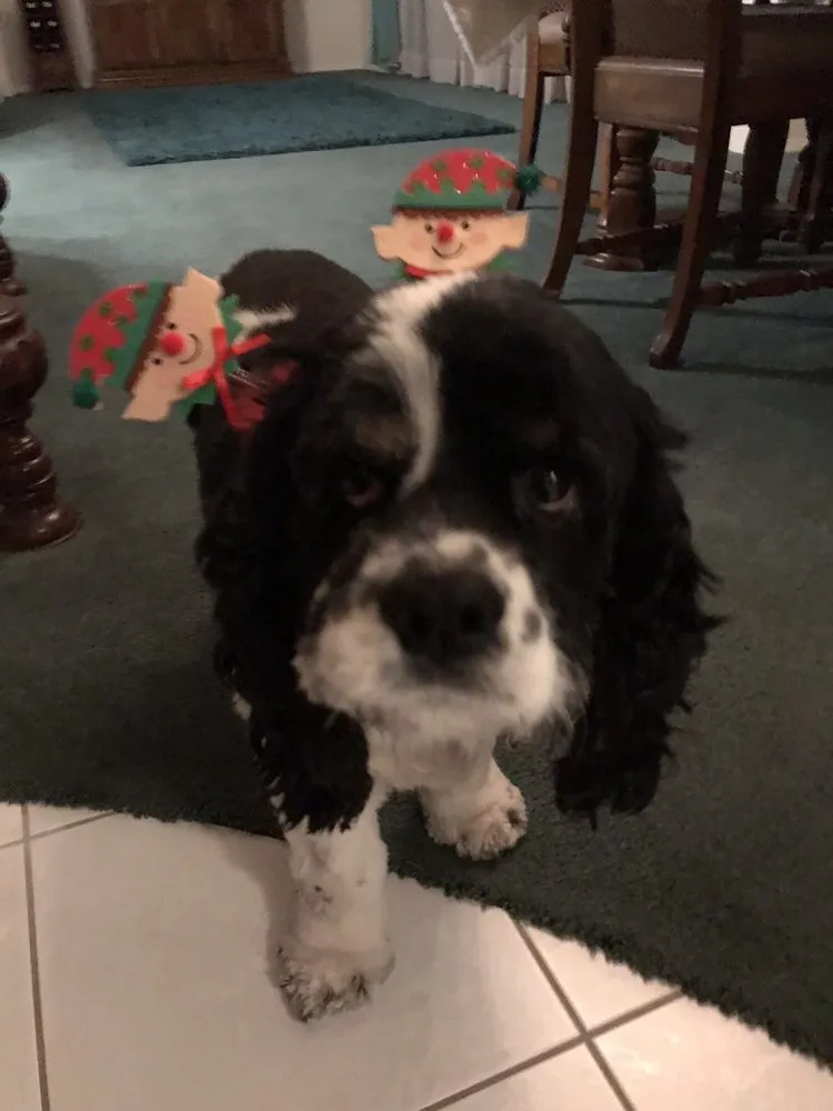 Slide of Handy Angels