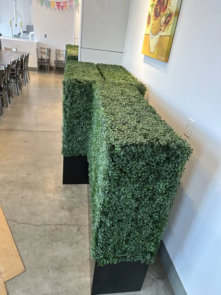 Slide of Handy Anthoney