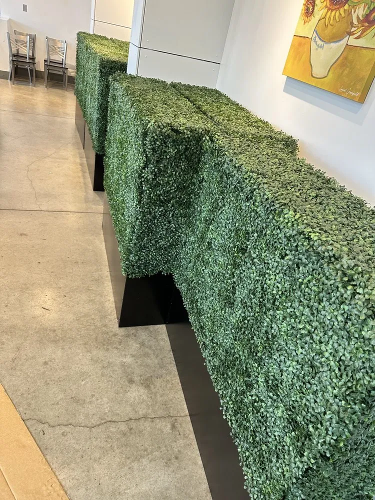 Slide of Handy Anthoney