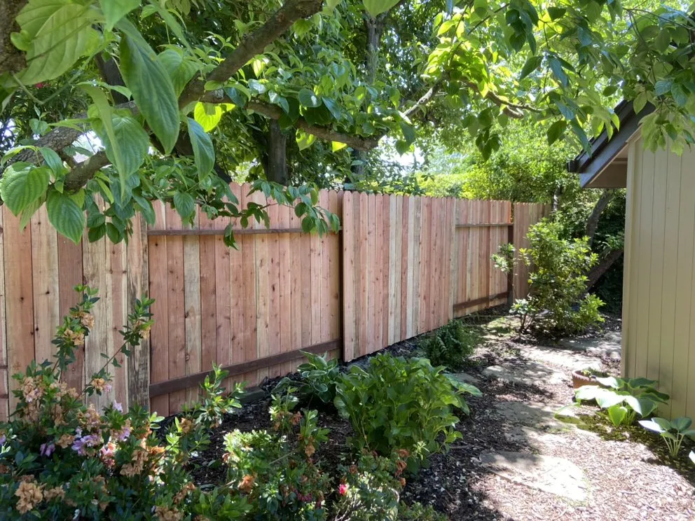 Slide of Handy Dan Taylor