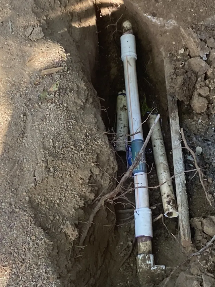 Slide of Handy Dan Taylor