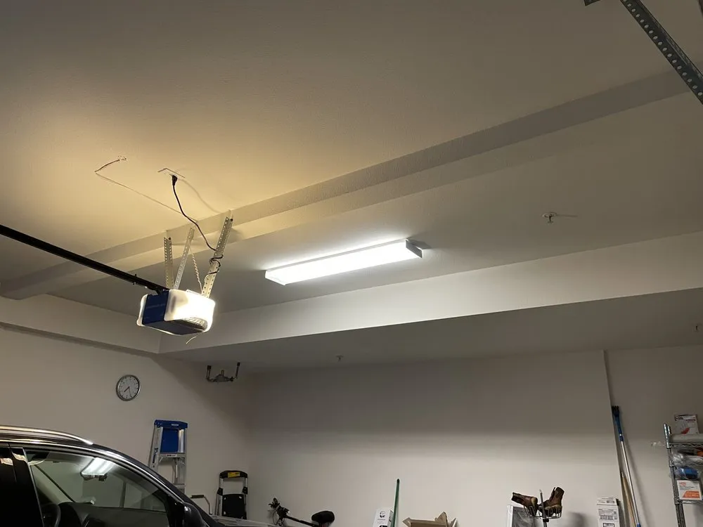 Slide of Handy Danny