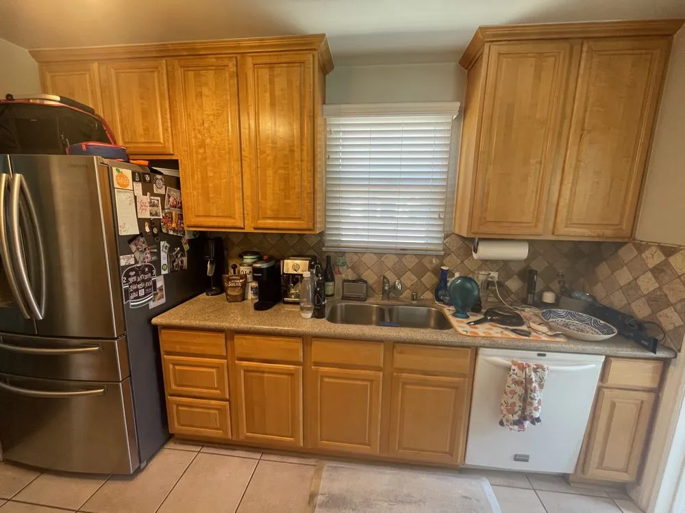 Slide of Handy Danny