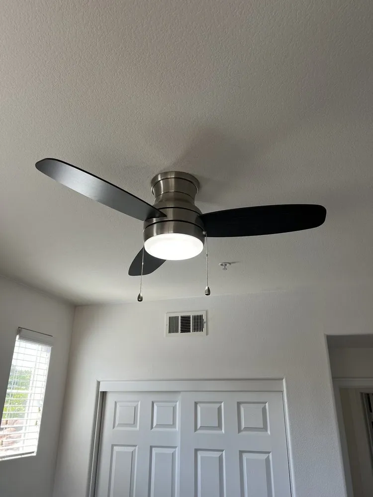 Slide of Handy Danny