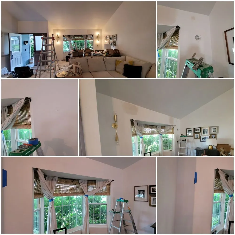 Slide of Handy Danny