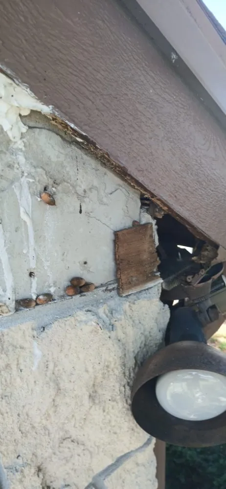 Slide of Handy Hucks Home Services