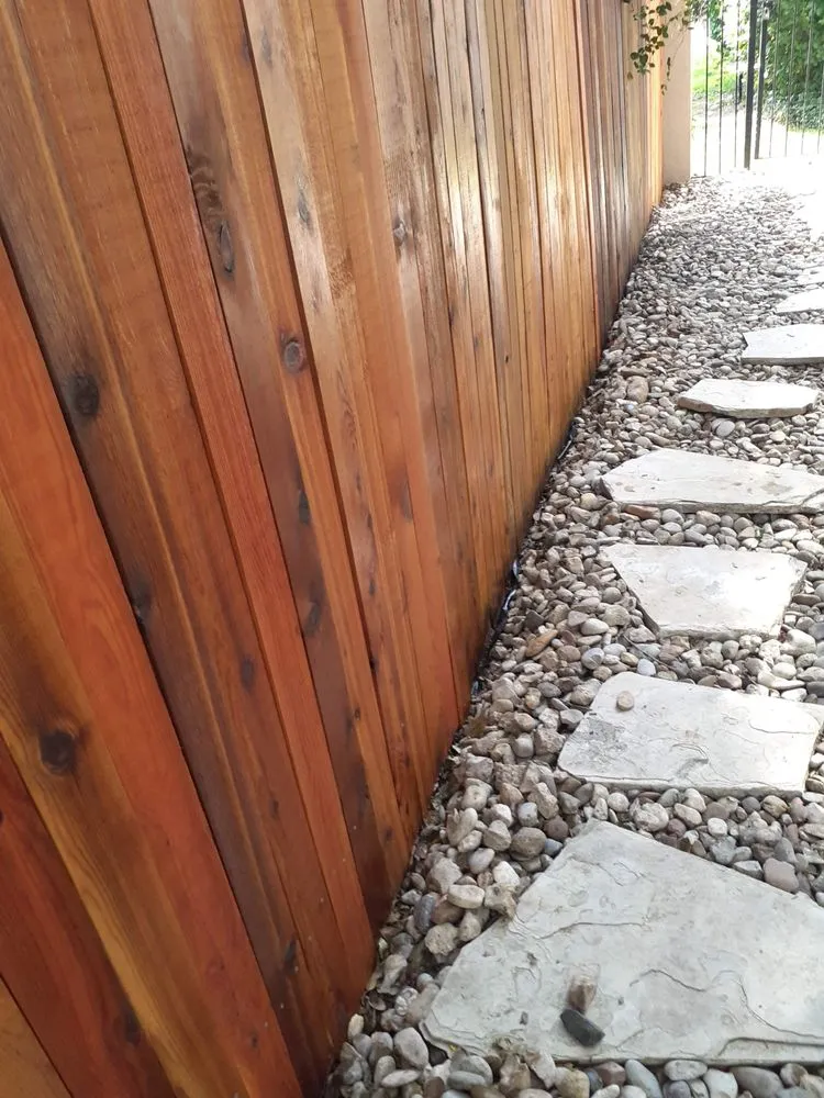 Slide of Handy Ismael