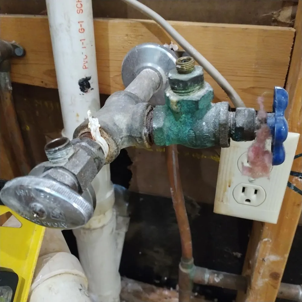 Slide of Handy Ismael