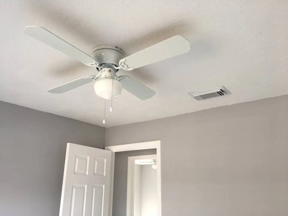 Slide of Handy Orlando