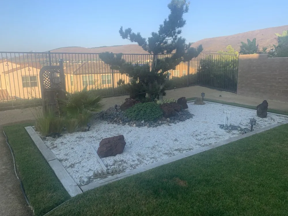 Slide of Handy Randy