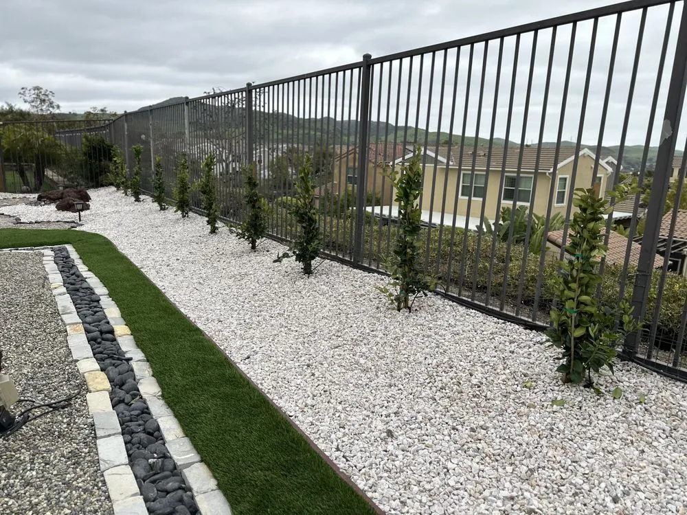 Slide of Handy Randy