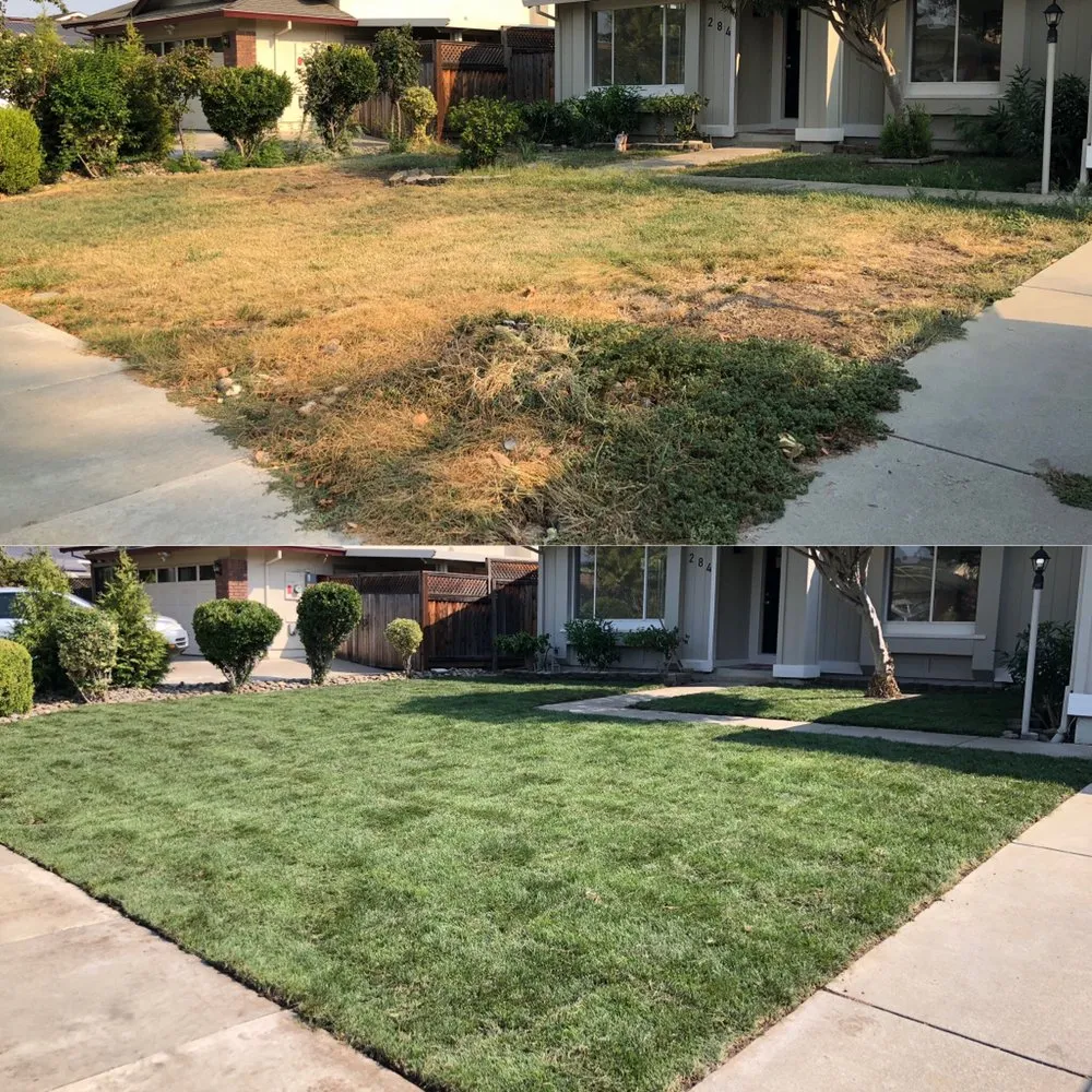 Slide of Handydads Construction