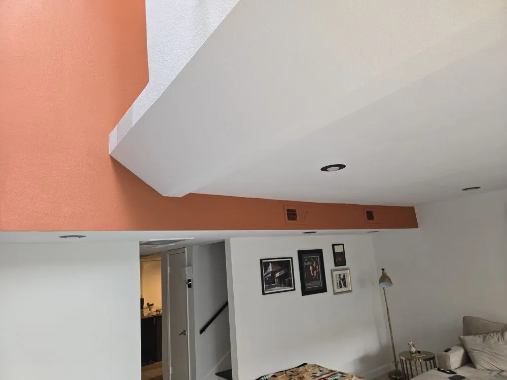 Slide of Handydye Solutions