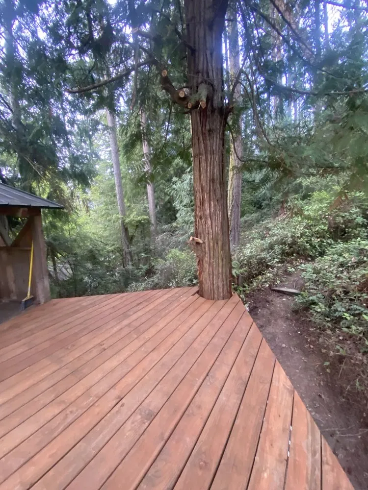 Slide of Handyman 1 Services