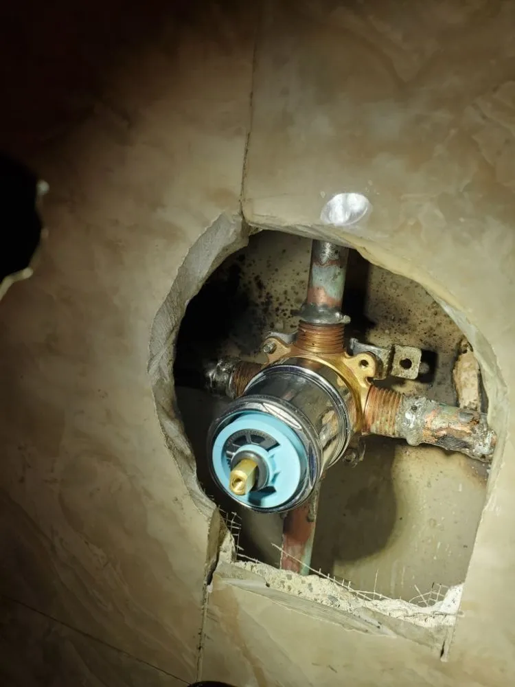 Slide of Handyman Bunjy