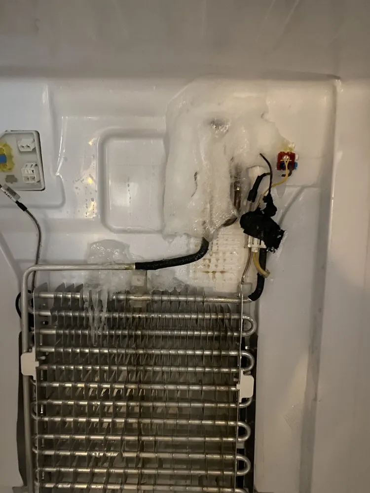 Slide of Handyman CLT