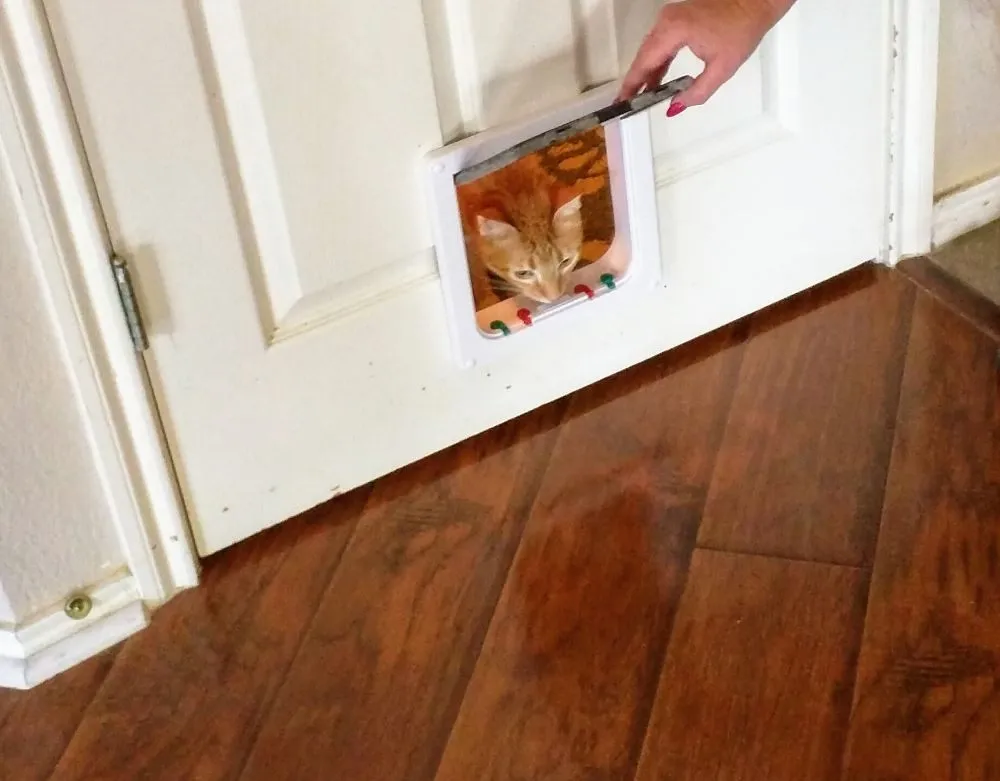 Slide of Handyman Dan