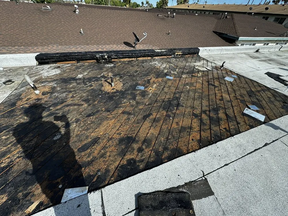 Slide of Handyman Flex