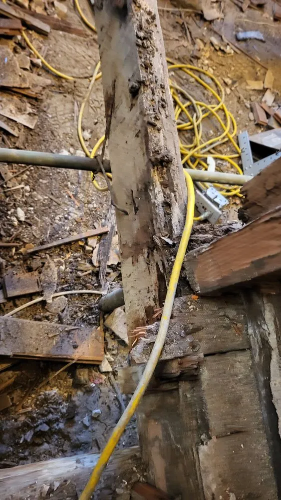 Slide of Handyman Frank and Son