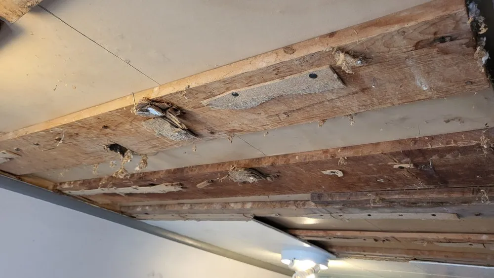 Slide of Handyman Frank and Son