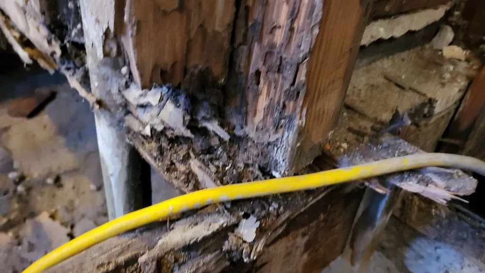 Slide of Handyman Frank and Son