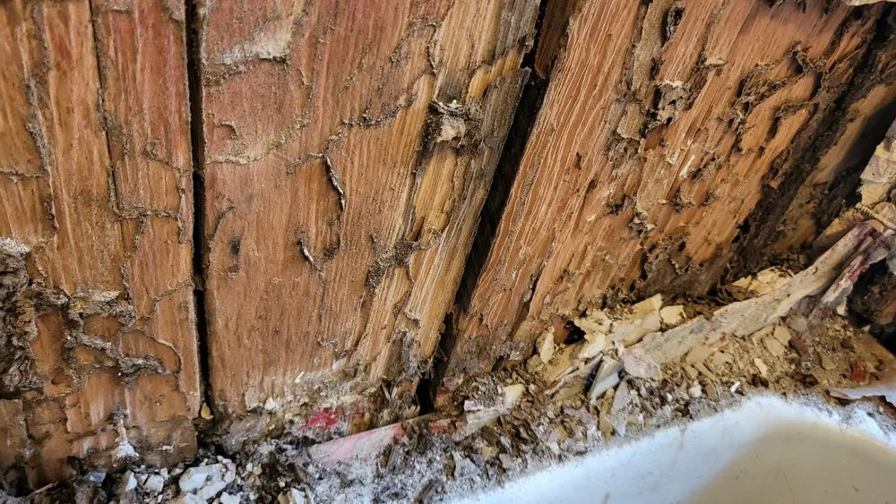 Certified electrician providing circuit breaker repair in , 