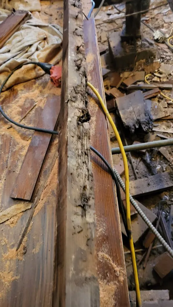 Reliable electrical service for homes in panel upgrade,  by 