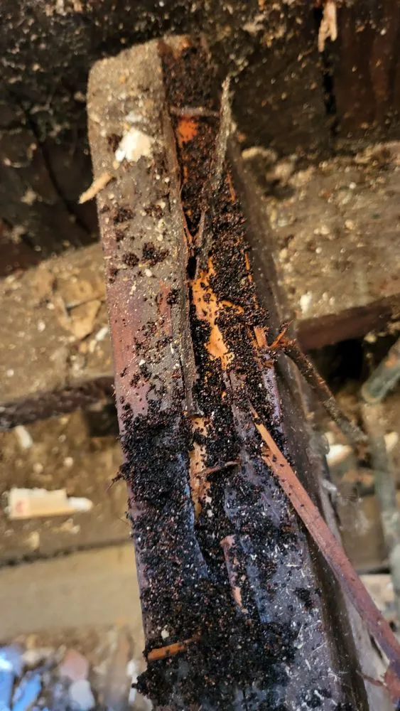 Certified electrical repair service in ,  - Handyman Frank and Son