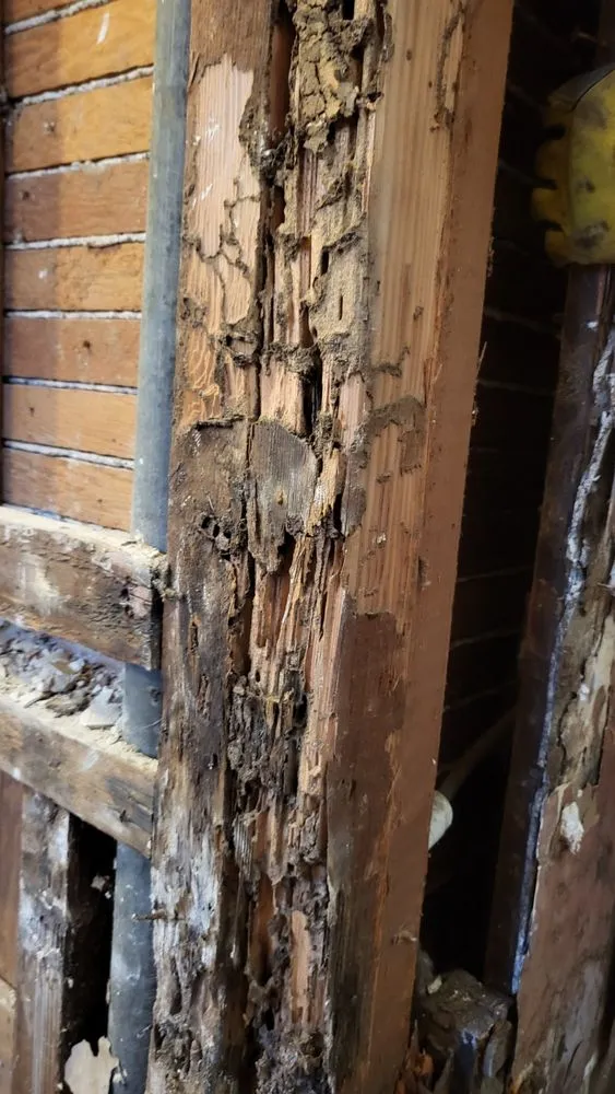 Professional emergency electrical service experts serving ,  - Handyman Frank and Son